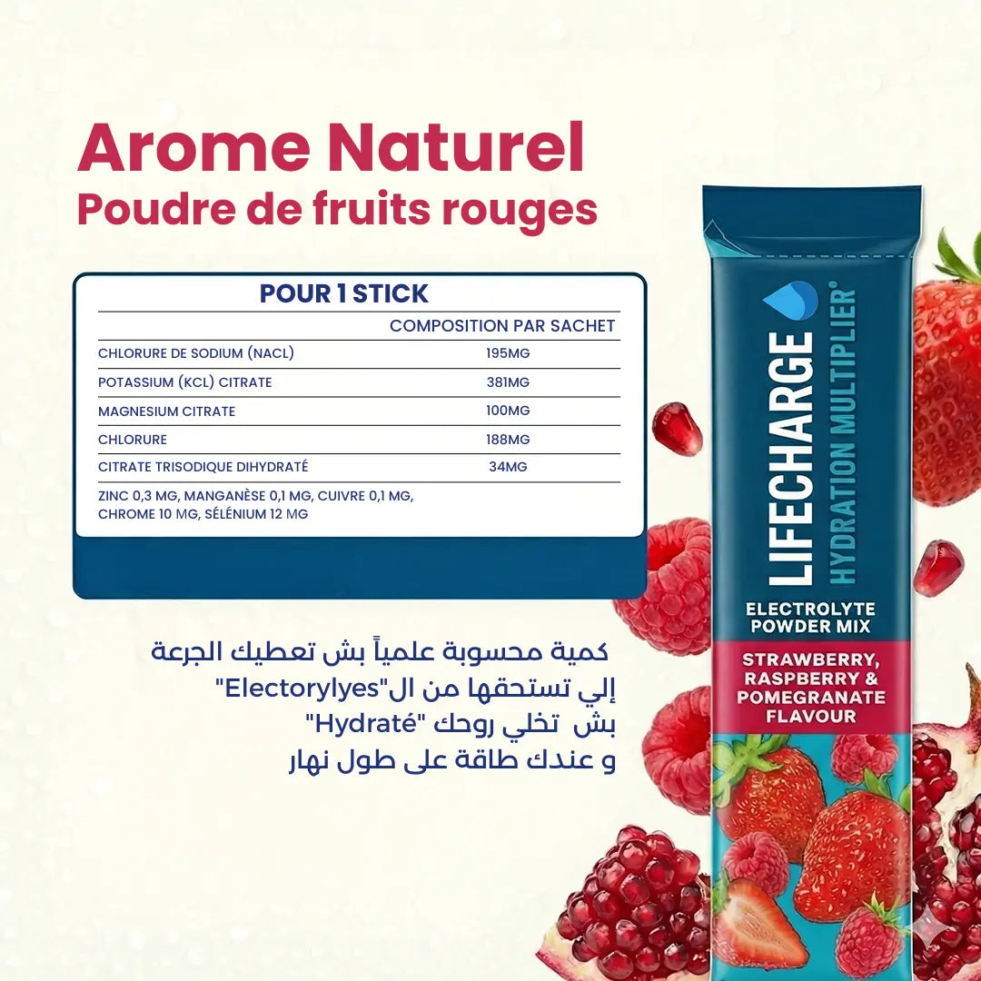 Un Mix d’Électrolytes Essentiels (20 Sticks)